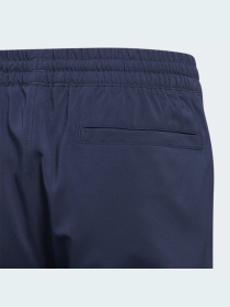 Штаны спортивные Adidas модель GQ2473 Фото