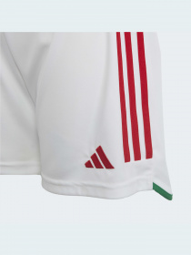 Шорти спортивні Adidas модель HE8860 Фото