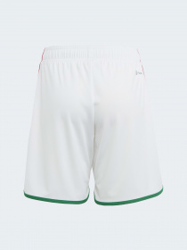 Шорты спортивные Adidas модель HE8860 Фото