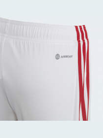 Шорты спортивные Adidas модель HE8860 Фото