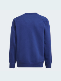 Спортивная кофта Adidas модель GR4257 Спортивная кофта Adidas модель GR4257 Фото