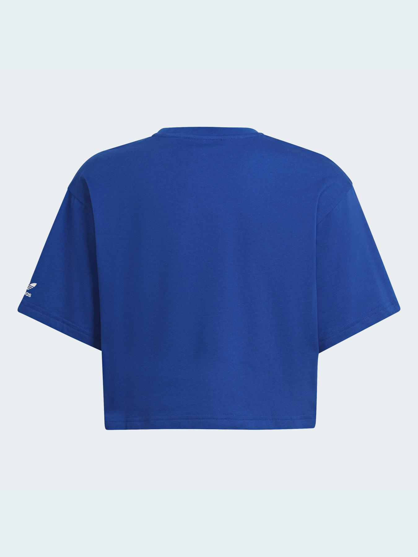 Футболка Adidas Adicolor модель HE4775 Фото