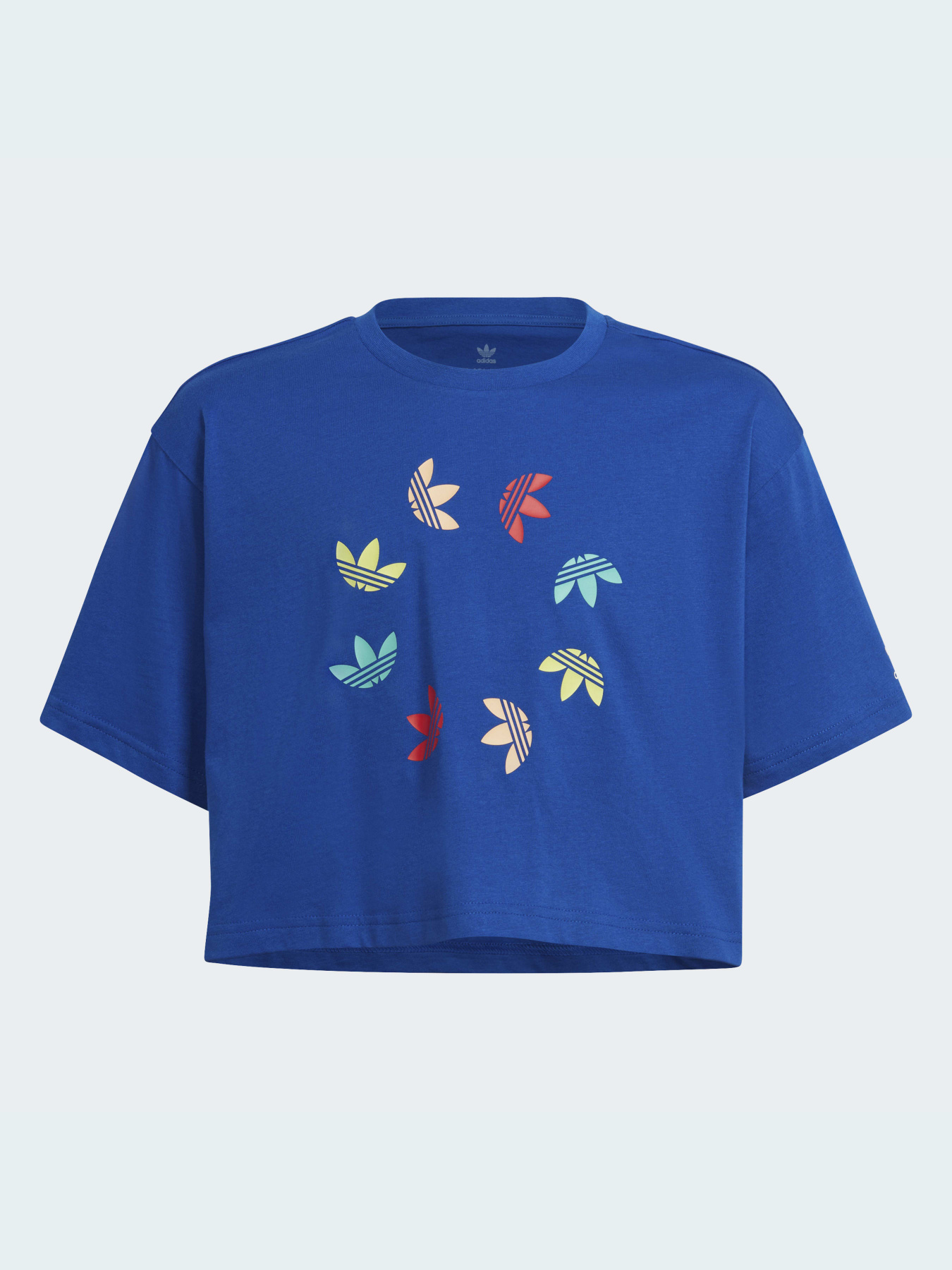 Футболка Adidas Adicolor модель HE4775 Фото