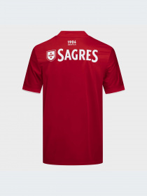 Спортивная футболка Adidas модель GT9666 Фото