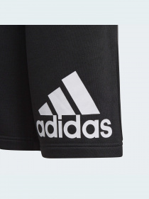 Шорты Adidas модель GN4018 Фото