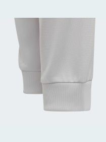 Штаны спортивные Adidas модель GN7488 Фото