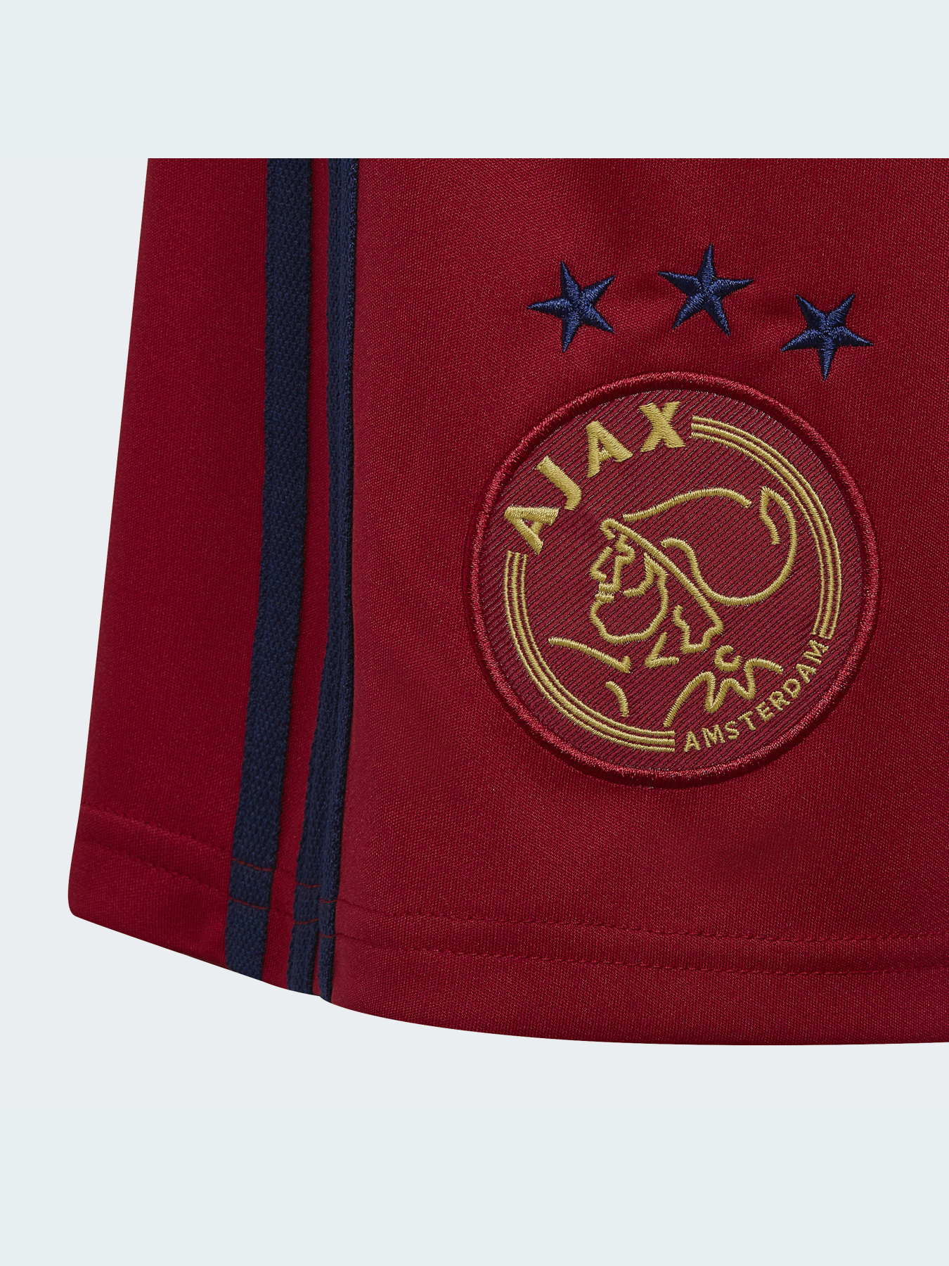 Шорти спортивні Adidas модель H58245 Фото