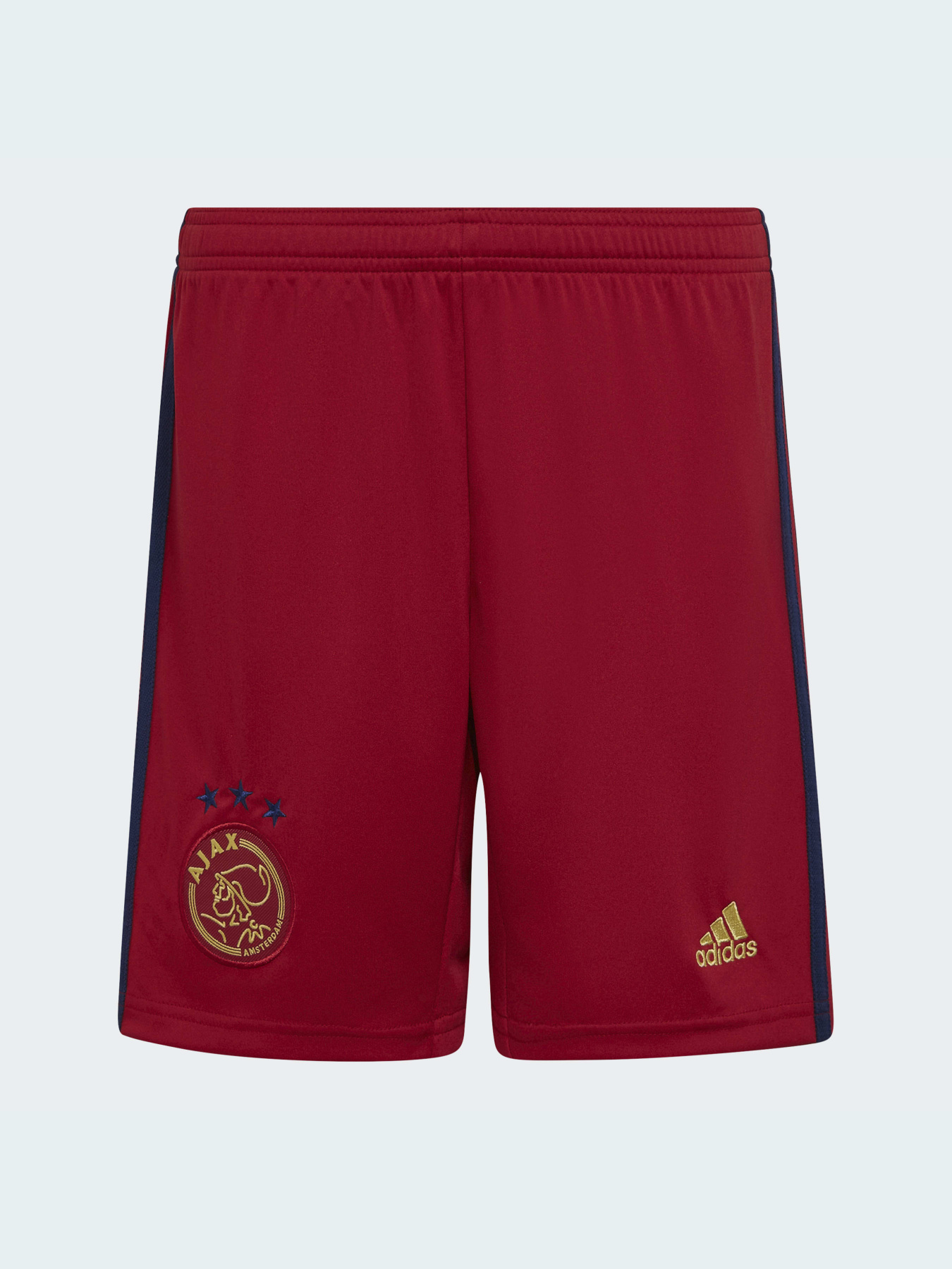 Спортивні шорти Adidas модель H58245 Фото