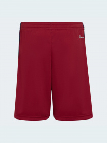 Спортивні шорти Adidas модель H58245 Фото