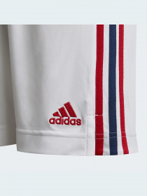 Шорты спортивные Adidas модель GQ3257 Фото