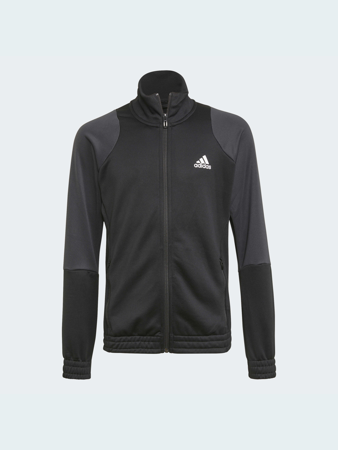Спортивный костюм Adidas Graphics модель GT6911 Спортивный костюм Adidas Graphics модель GT6911 Фото