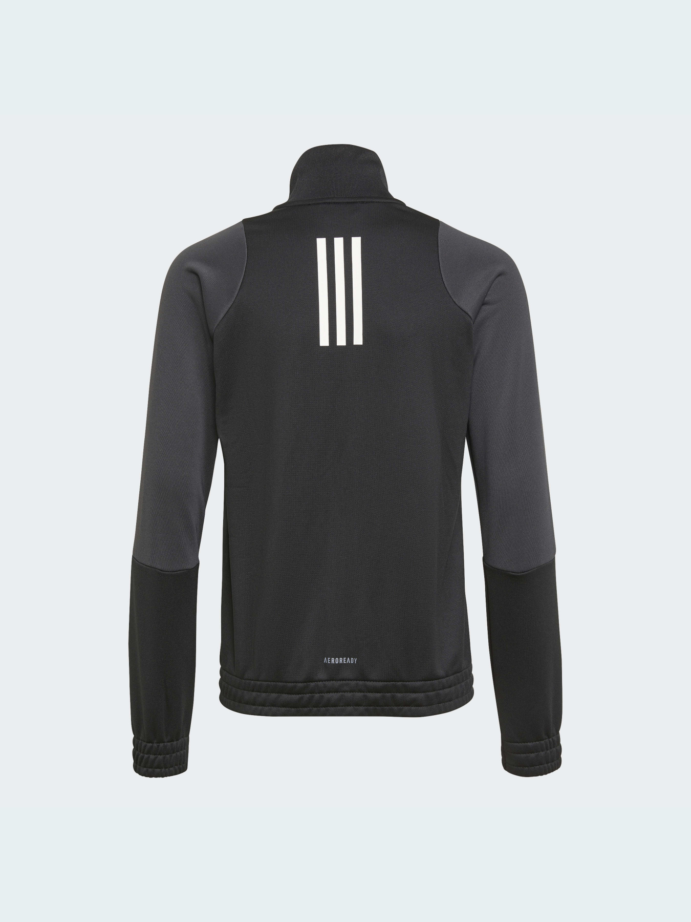 Спортивный костюм Adidas Graphics модель GT6911 Спортивный костюм Adidas Graphics модель GT6911 Фото