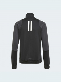 Спортивный костюм Adidas Graphics модель GT6911 Спортивный костюм Adidas Graphics модель GT6911 Фото