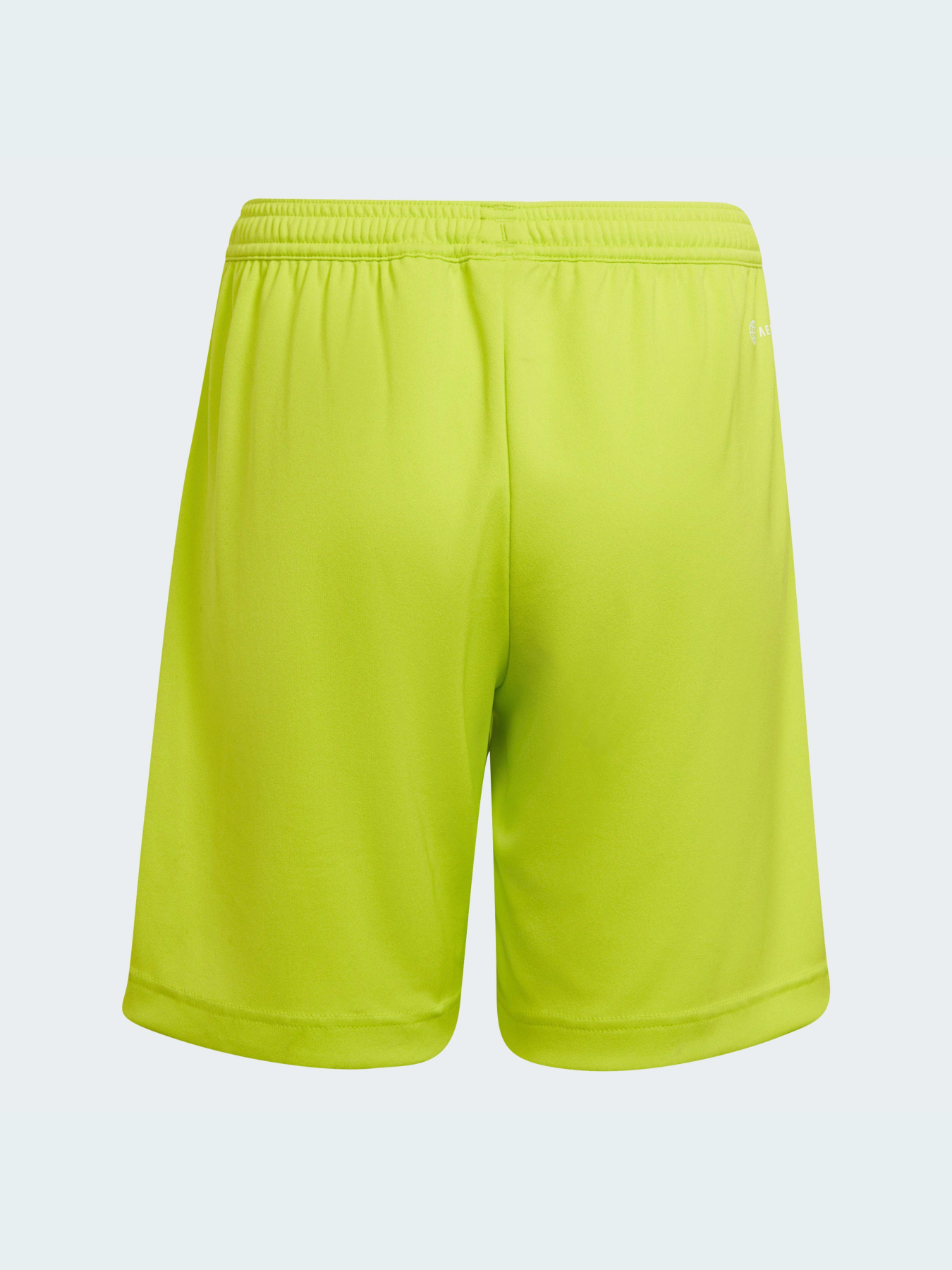 Спортивні шорти Adidas модель HC5065 Фото