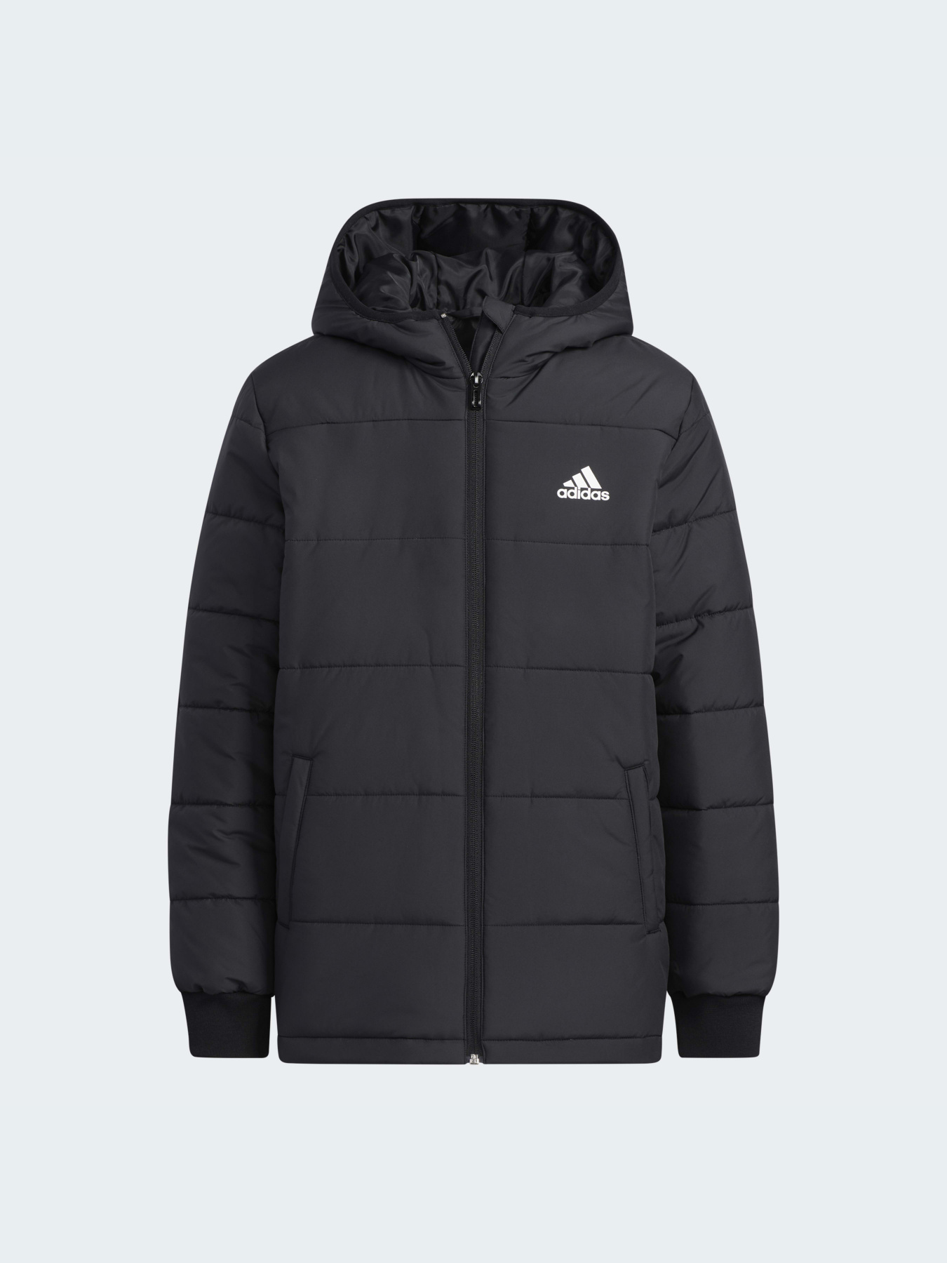 Демисезонная куртка Adidas модель H45030 Фото