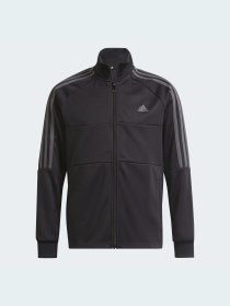 Кофта спортивная Adidas модель GT1338 Фото