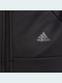 Спортивная кофта Adidas модель GT1338 Фото