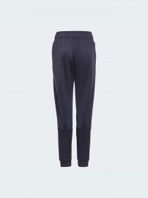 Повсякденні штани Adidas модель HE2082 Фото