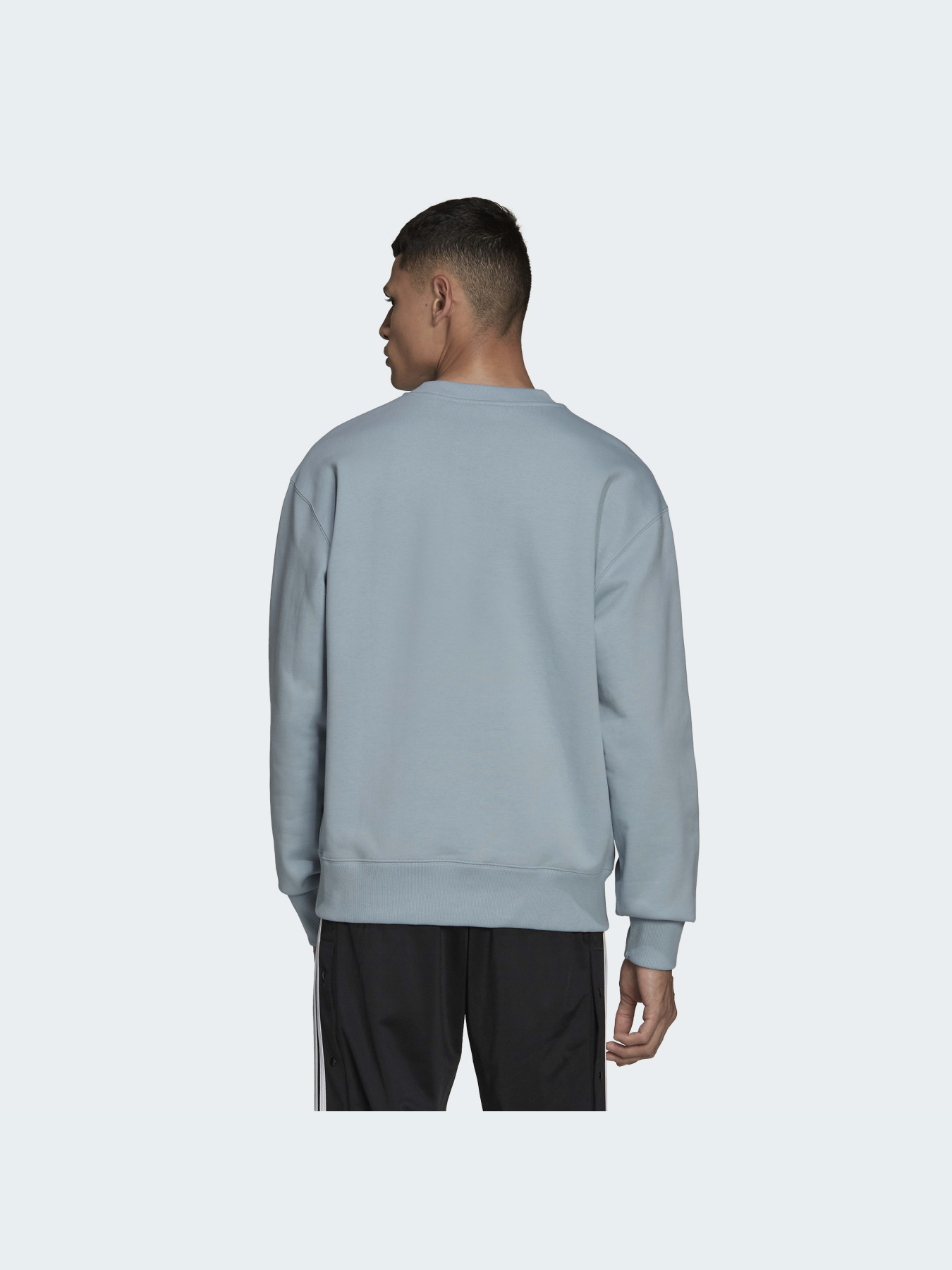 Свитшот Adidas Adicolor модель HC4527 Фото