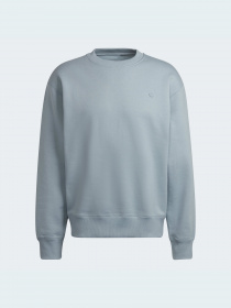 Свитшот Adidas Adicolor модель HC4527 Фото