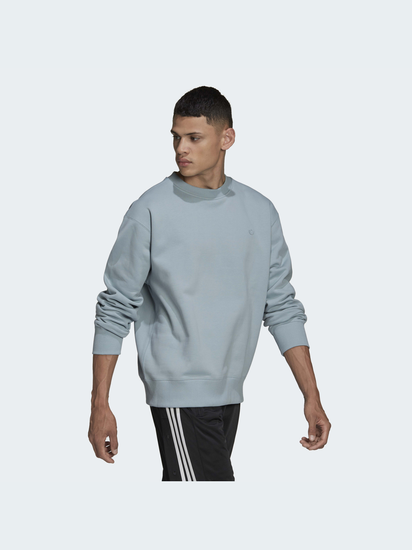 Світшот Adidas Adicolor модель HC4527 Фото