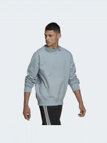 Світшот Adidas Adicolor модель HC4527 Фото