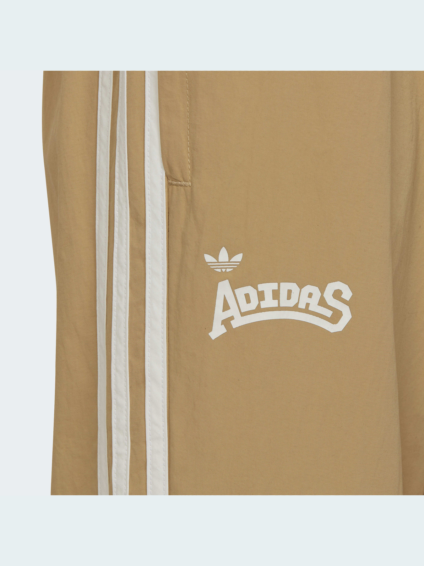 Повседневные штаны Adidas Graphics модель HC4541 Фото