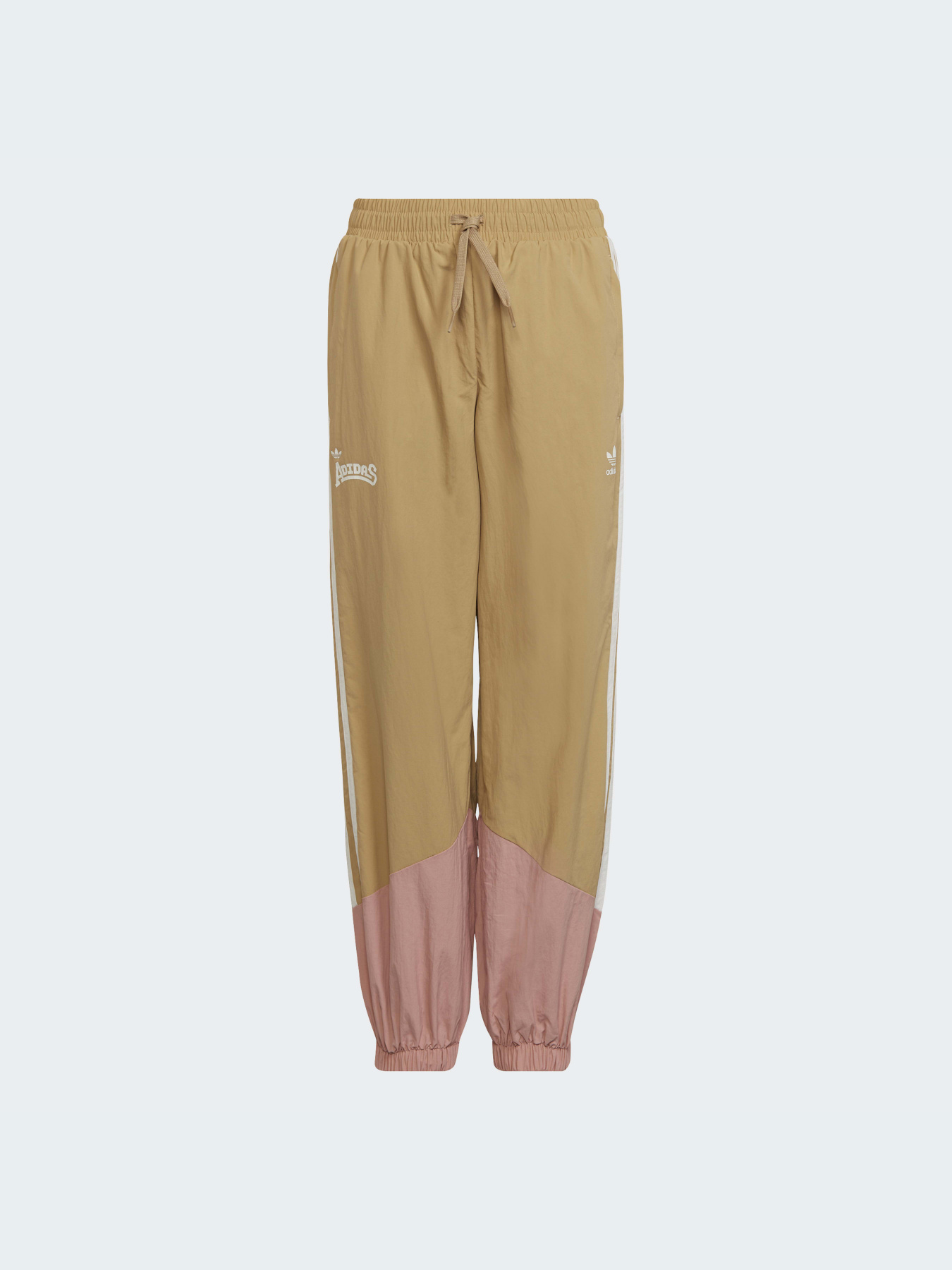 Повседневные штаны Adidas Graphics модель HC4541 Фото