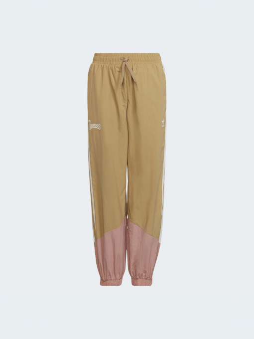 Повседневные штаны Adidas Graphics модель HC4541 Фото