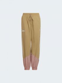 Повседневные штаны Adidas Graphics модель HC4541 Фото