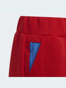 Штаны спортивные Adidas модель H65357 Фото