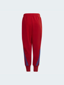 Штаны спортивные Adidas модель H65357 Фото