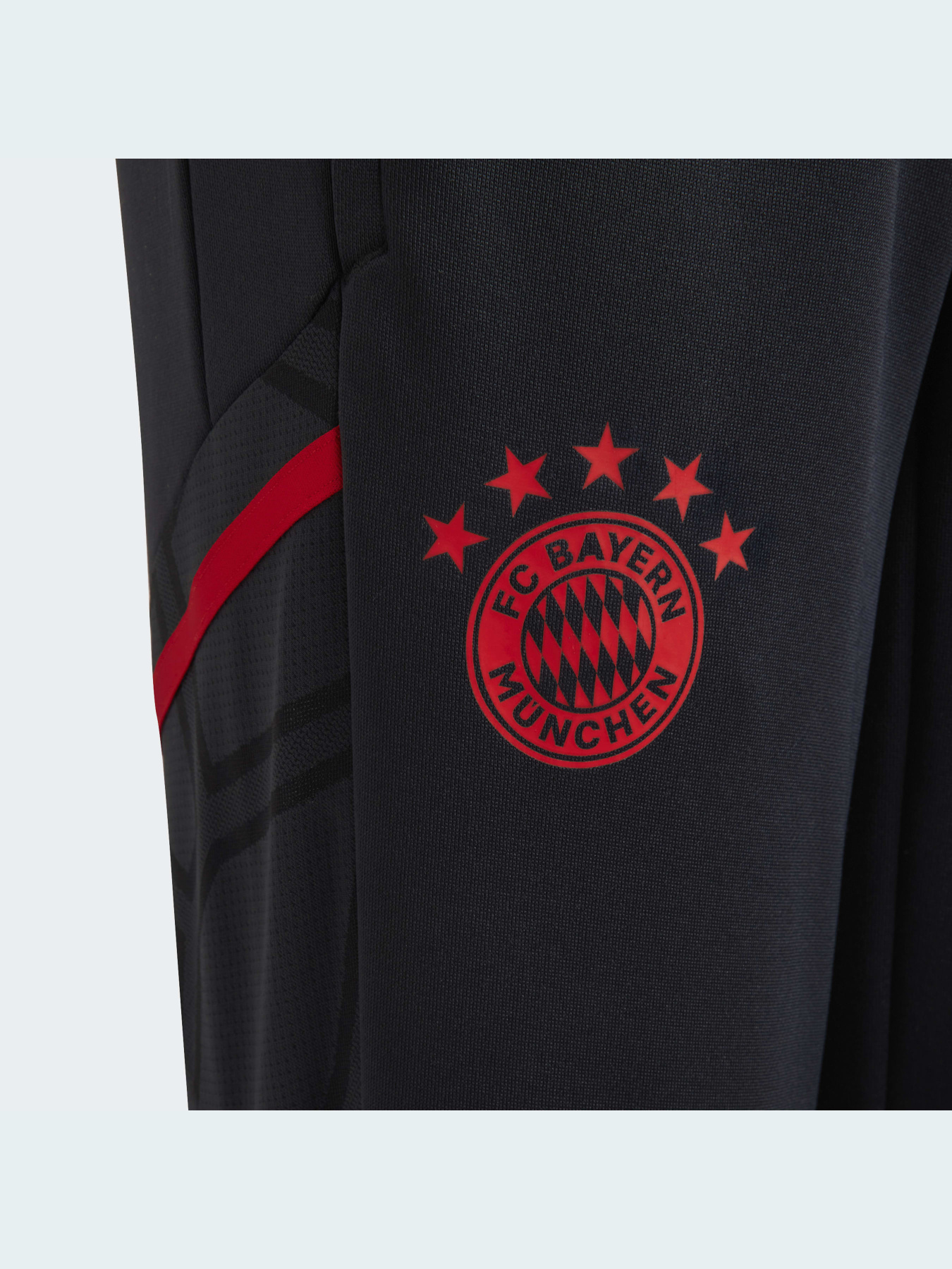 Штаны спортивные Adidas Condivo модель HB0618 Фото