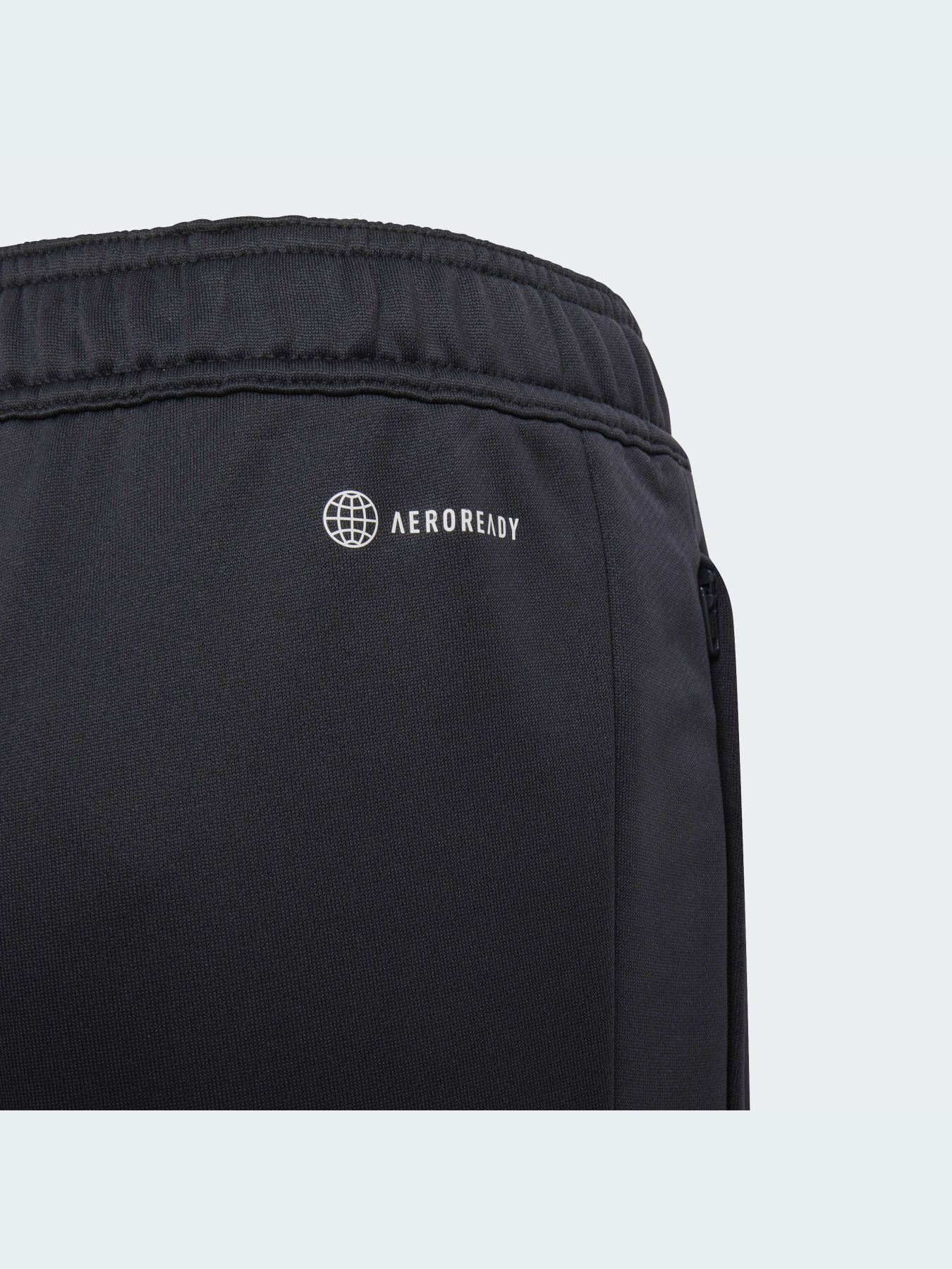 Штаны спортивные Adidas Condivo модель HB0618 Фото