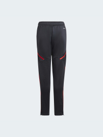 Штаны спортивные Adidas Condivo модель HB0618 Фото