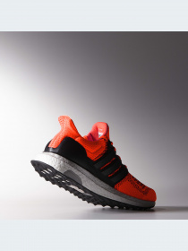 Кроссовки Adidas Ultraboost модель B34050 Фото