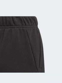 Брюки повседневные Adidas модель GJ6625 Фото