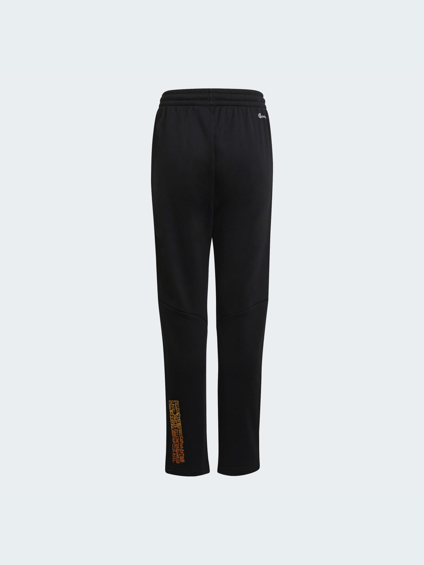 Штаны спортивные Adidas модель H59776 Фото