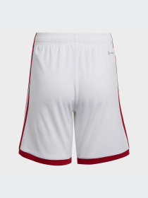 Спортивні шорти Adidas модель HA5331 Фото