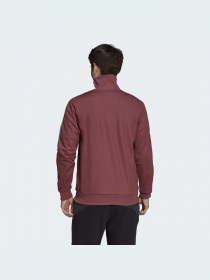 Кофта Adidas Adicolor модель HB9446 Фото