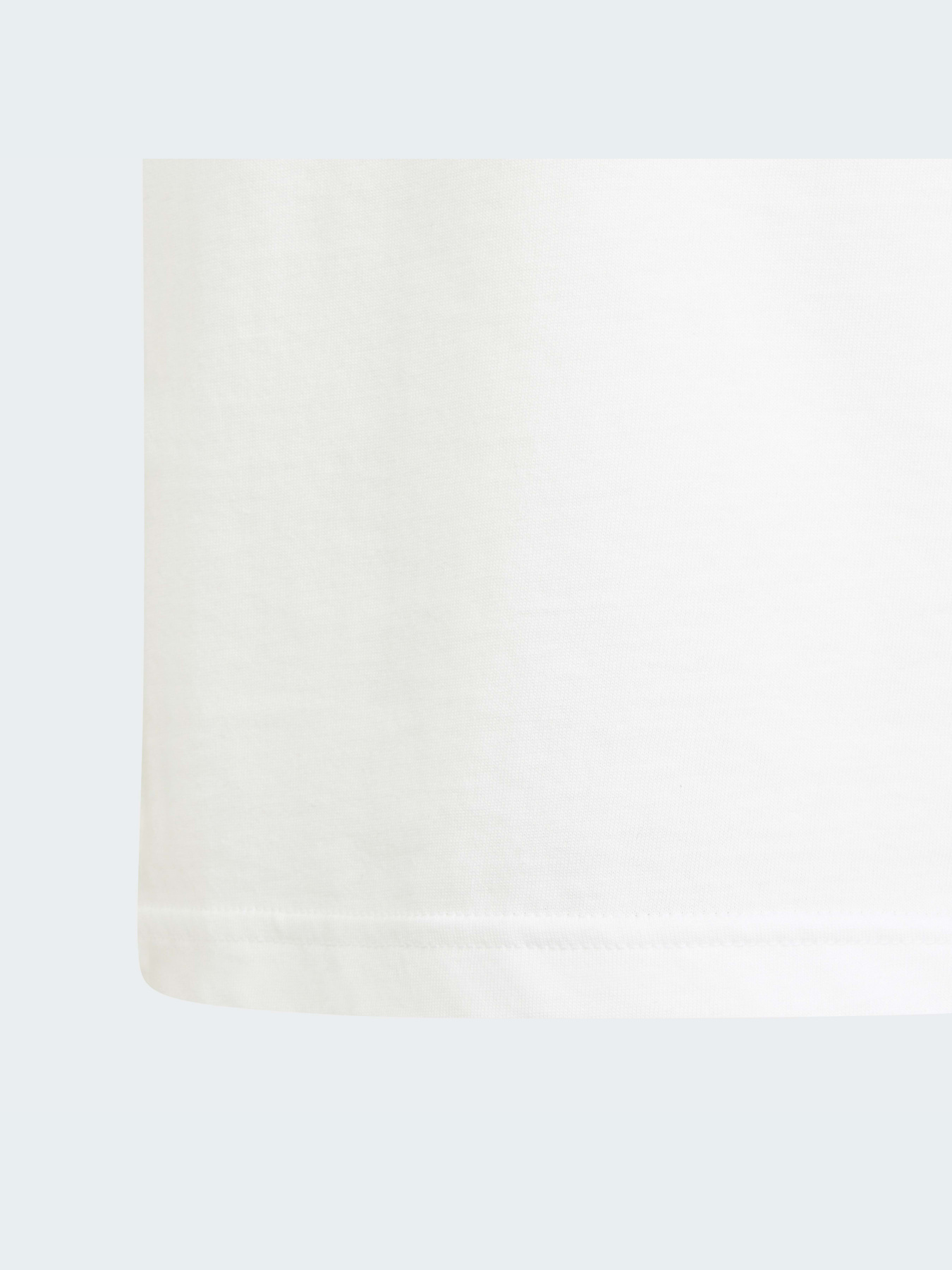 Футболка Adidas Adicolor модель H31181 Фото