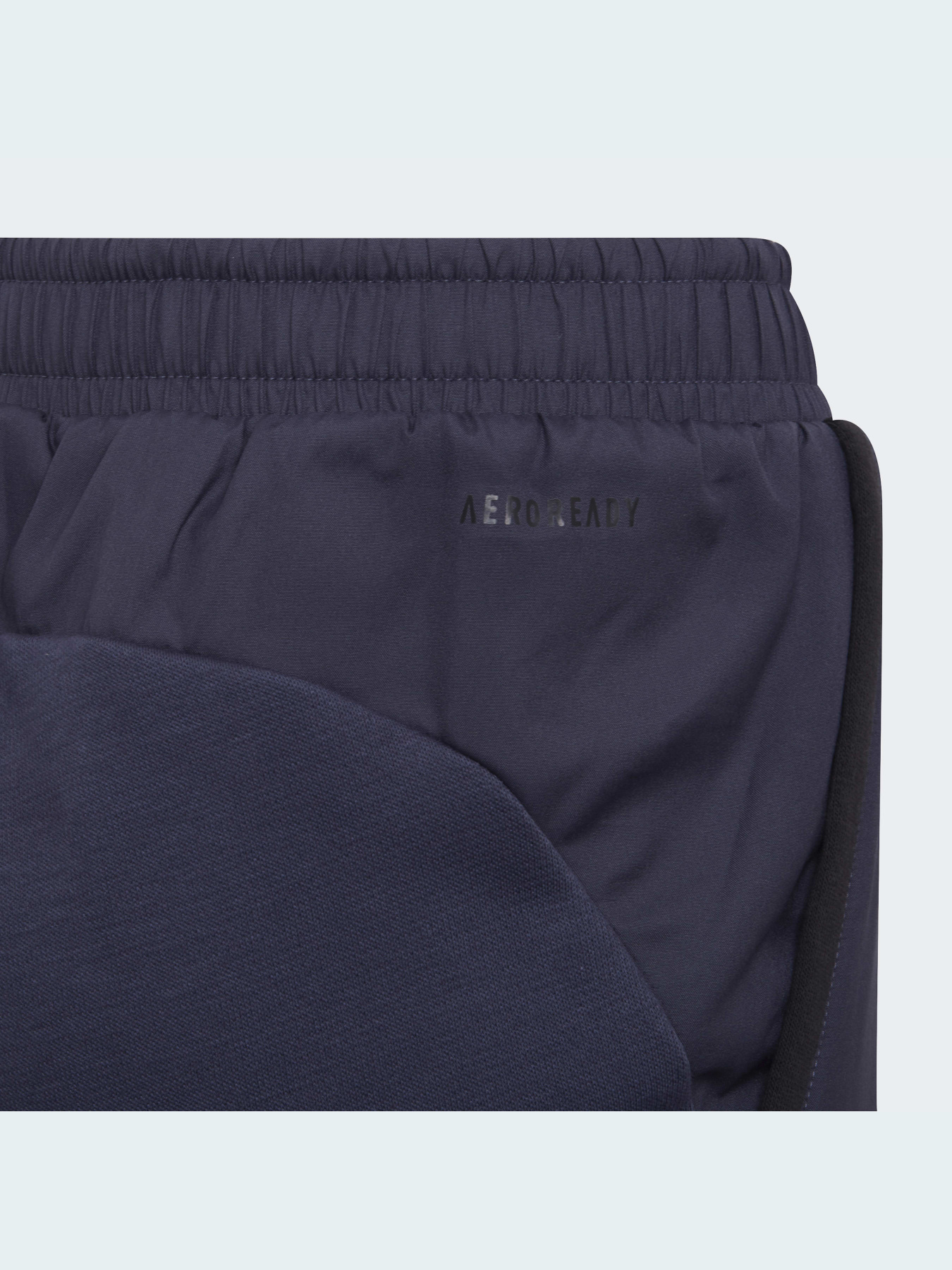 Штаны спортивные Adidas модель HC1896 Фото