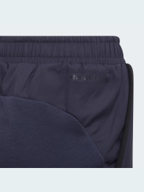 Спортивні штани Adidas модель HC1896 Фото