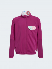 Ветровка Adidas модель GN8851 Фото