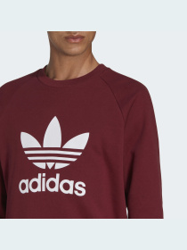 Свитшот Adidas Adicolor модель IA4856 Фото