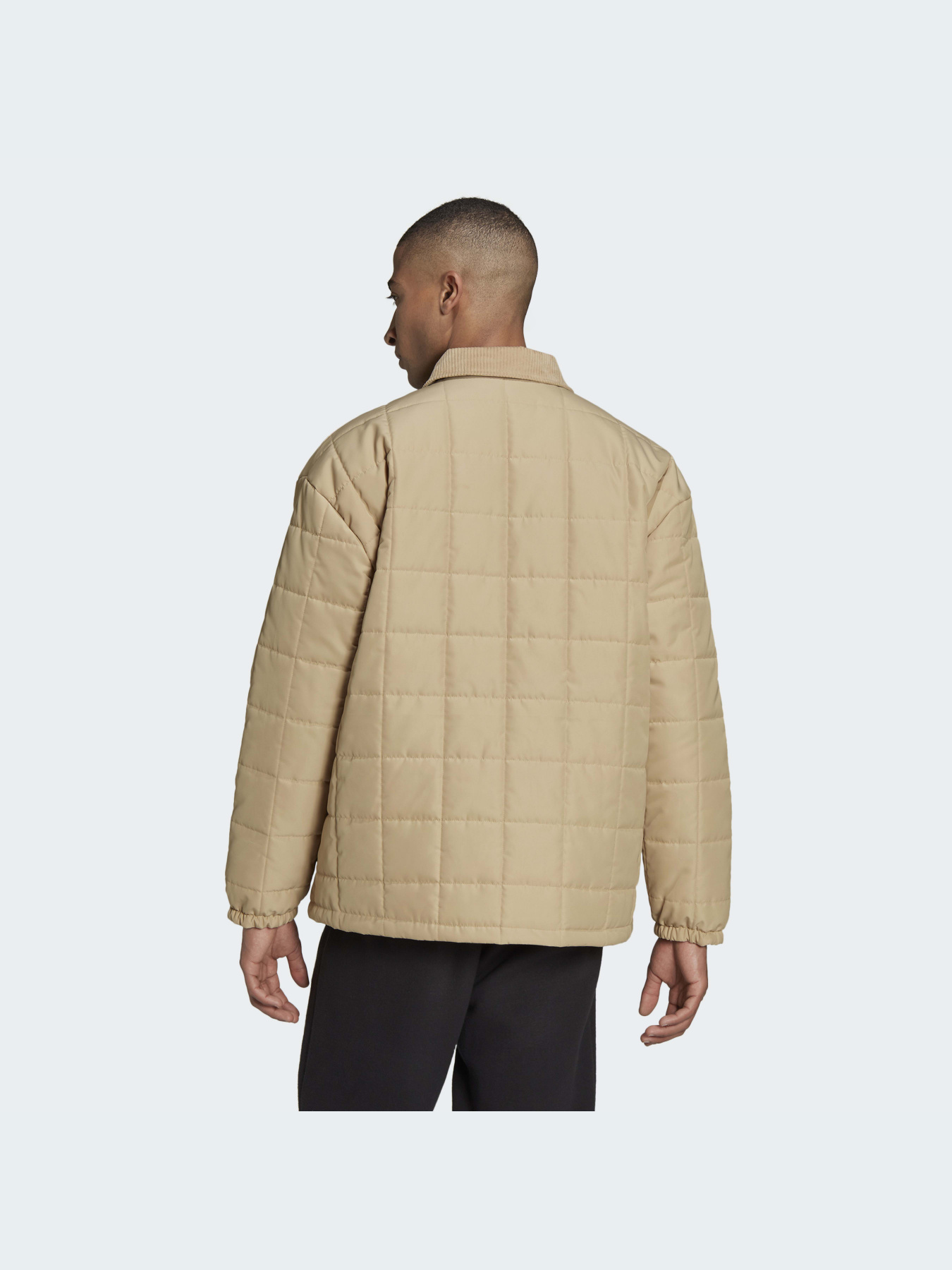 Демисезонная куртка Adidas модель H11500 Фото