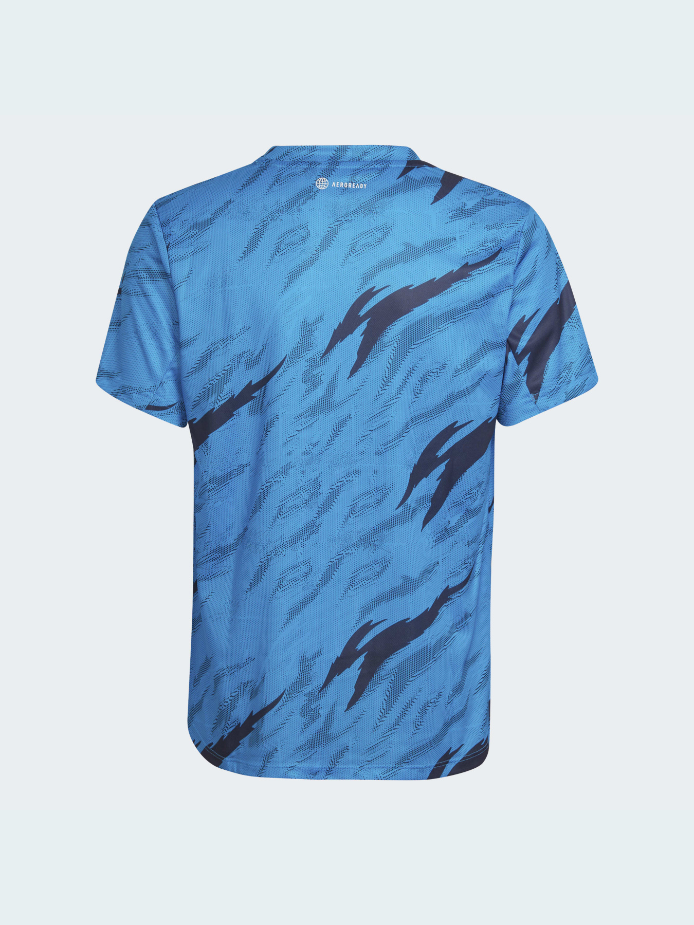 Спортивная футболка Adidas Graphics модель HB6876 Фото