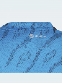 Спортивная футболка Adidas Graphics модель HB6876 Фото