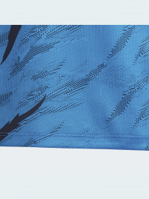 Спортивная футболка Adidas Graphics модель HB6876 Фото