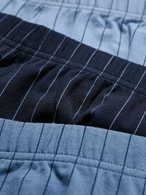 Набор трусов C&A модель 68062 Набор трусов C&A модель 68062 Фото